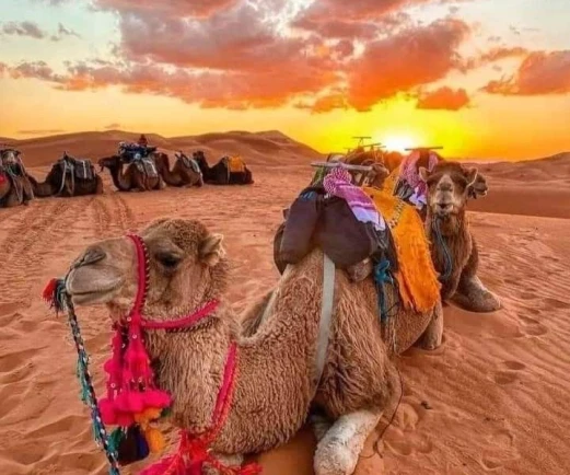 Imago Private Tours Rectangle 27